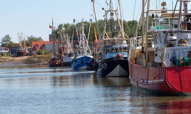 Ferienwohnung bisschen schicker busum nordsee schleswig holstein