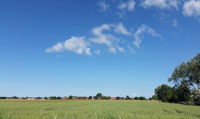 Therapeutischer ferienhof tjarkshof