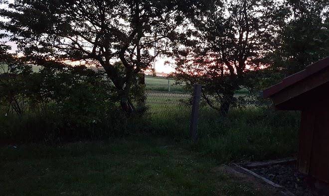 Andresenhof Sprakebull Image