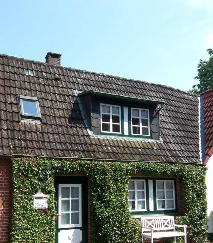 Ferienhaus efeunest