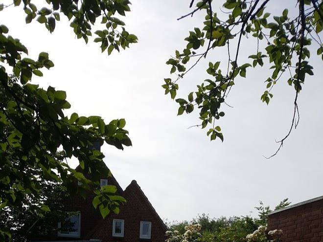 Ferienhaus juls