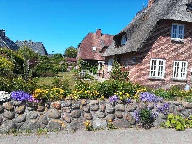 Haus jensen