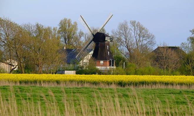 Windmuhle catharina