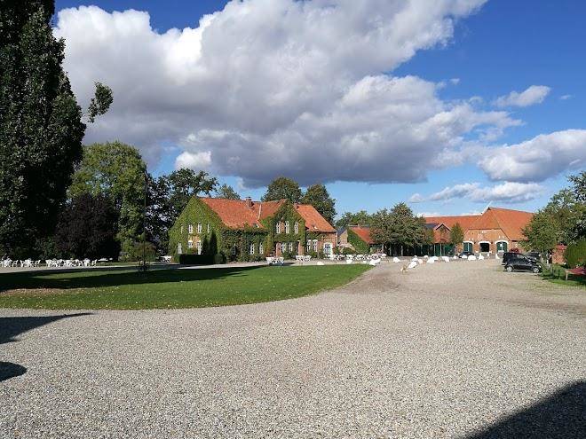 Gut gaarz