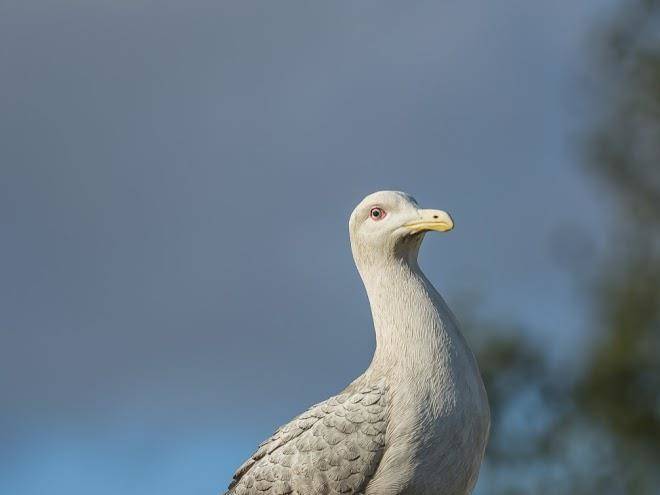 Ostseestrand Ferienpark Scharbeutz Gmbh Image