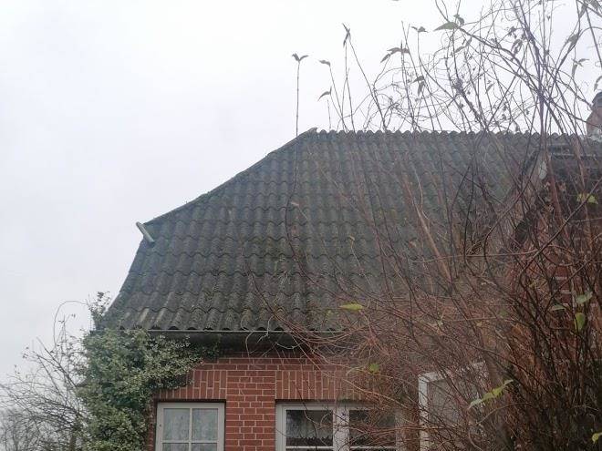 Jones ferienwohnung