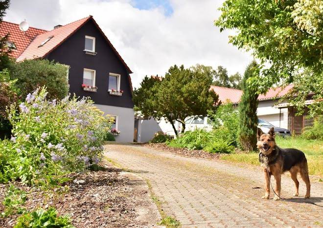 Pension volgenandt