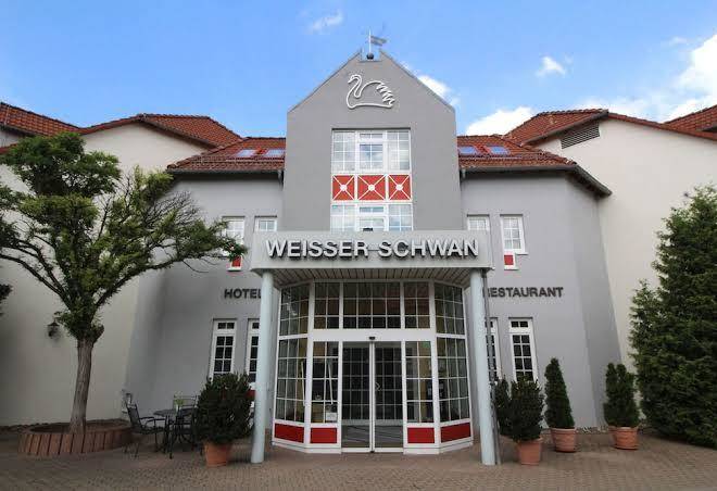 Weisser schwan