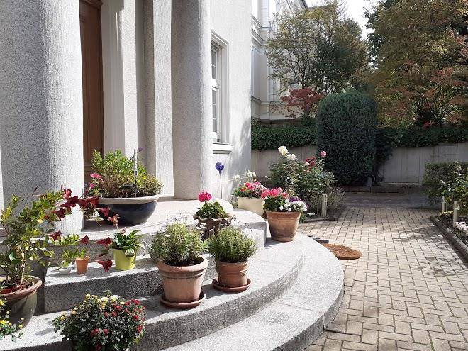 Pension am schlos