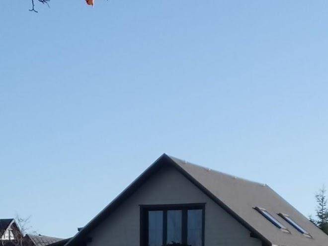 Ferienhaus sendel