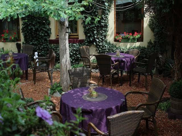 Hotel zum ginkgobaum