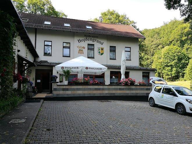 Waldpension hopfengrund