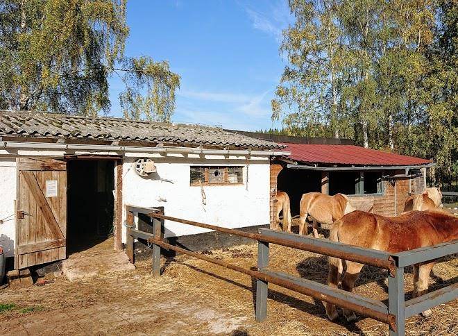 Ausflugs Und Ferienhotel Hufhaus Harzhohe Inh Jakob Lotter Harztor Image
