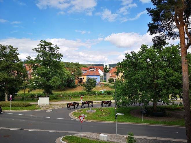 Altstadthotel An Der Werra Image