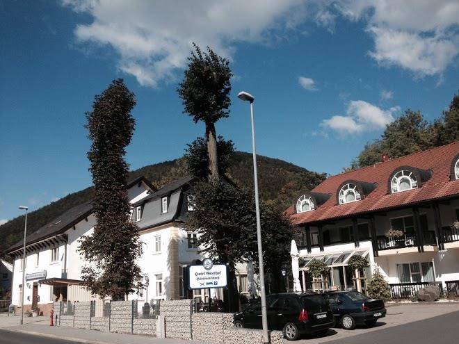 Hotel Gasthof Huttensteinach Image