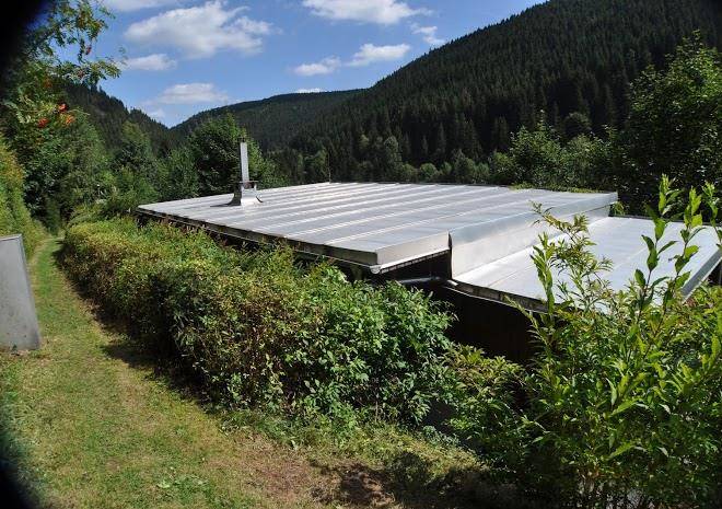 Waldluftin Feha Image