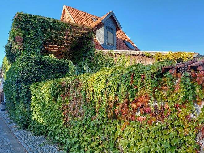 Landhotel brauner hirsch
