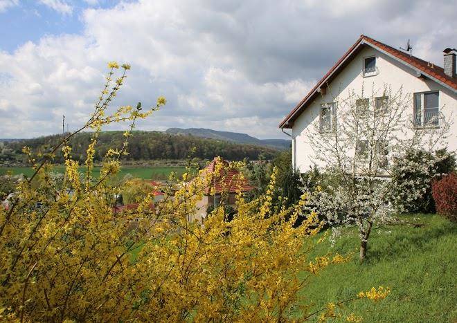 Hotel waldblick