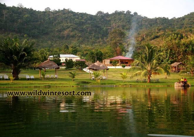 Wildwin resort