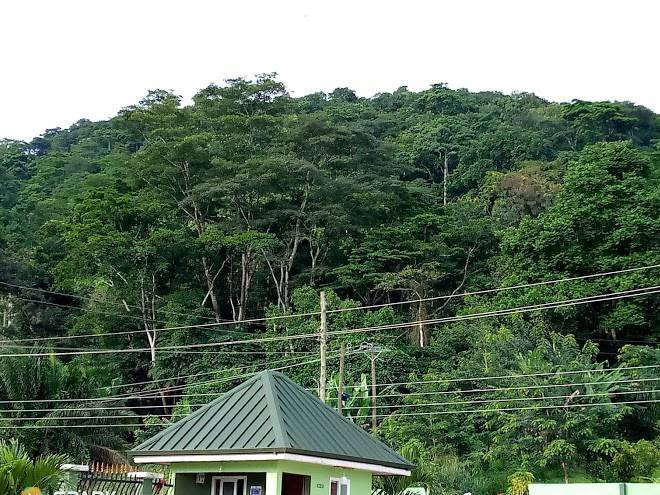 Nyarkoa ba nyarko royal hotel