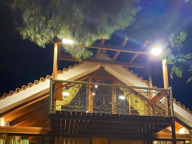 Turdus merula retreat nea makri athens greece