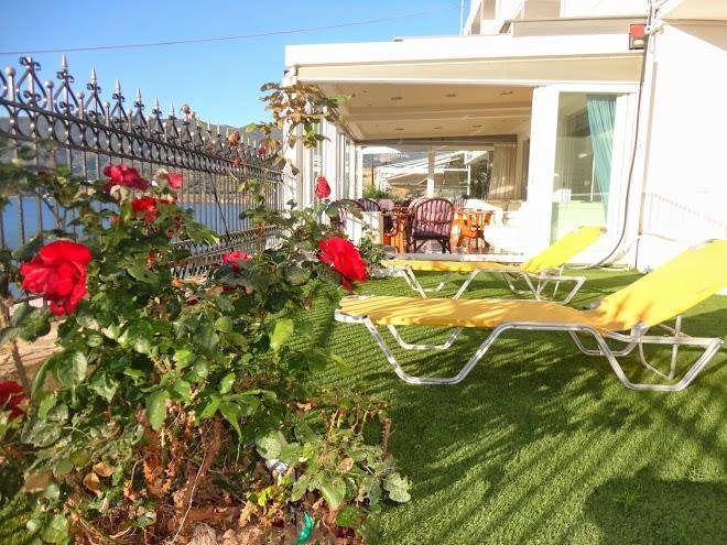 New Aegli Resort Hotel 4 Stars Image