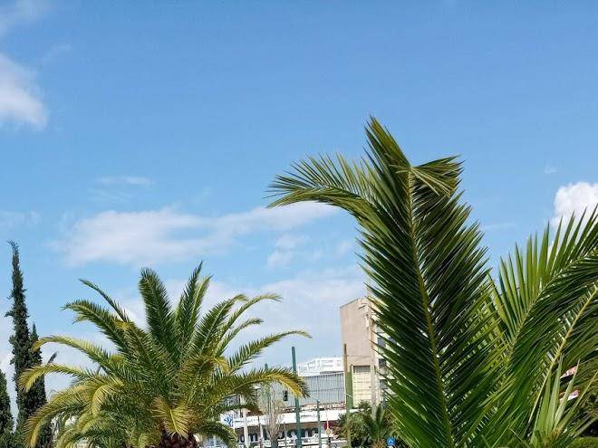 Atlantic hotel