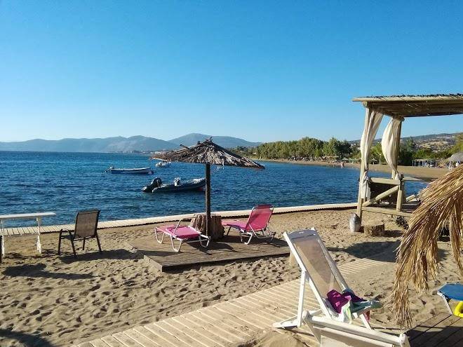 Venus Beach Hotel Image