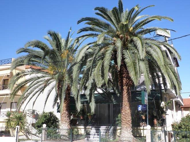 Hotel noufara