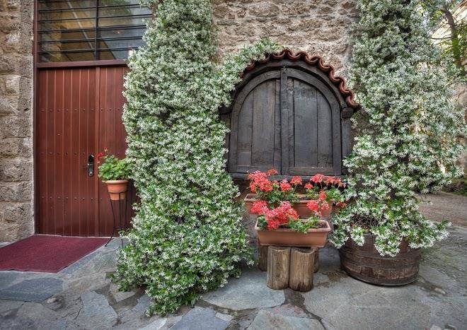 Palea poli restaurant