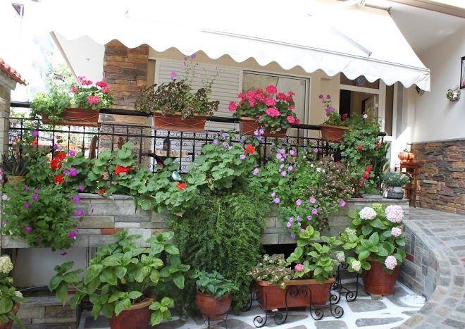 Akrotiri hotel