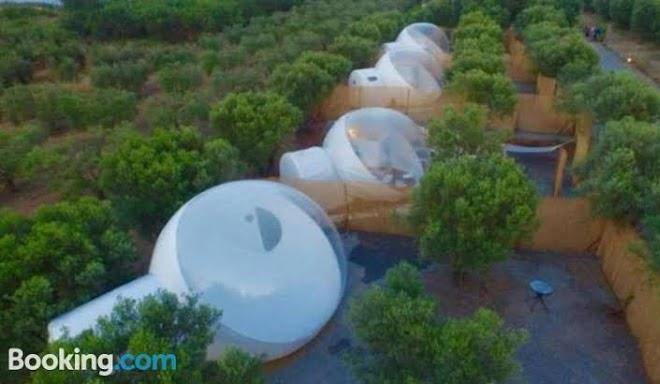 Bubble tents