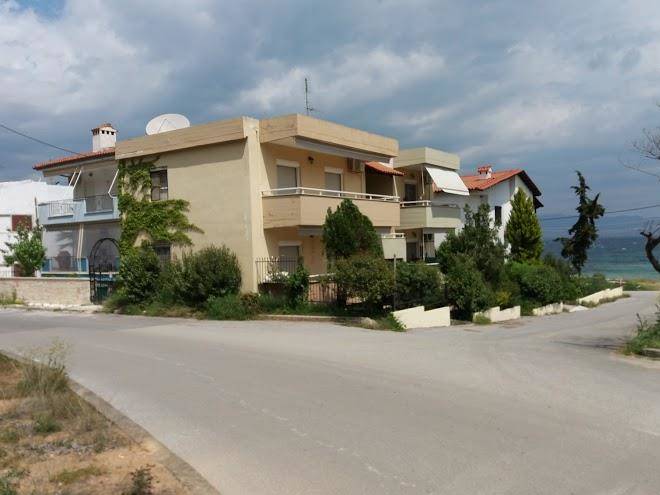 Lovely flat potidea