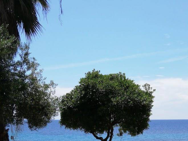 Maison la mer