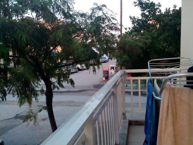 Vila papus sarti