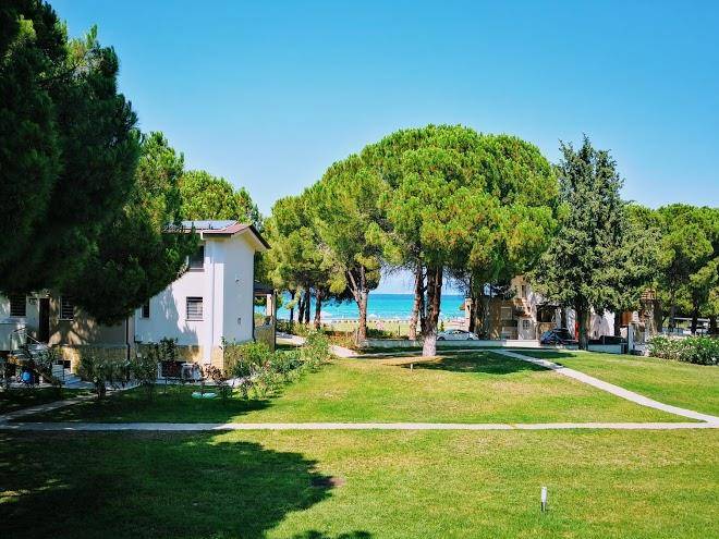 Zennova 11 Blue Pearl Image