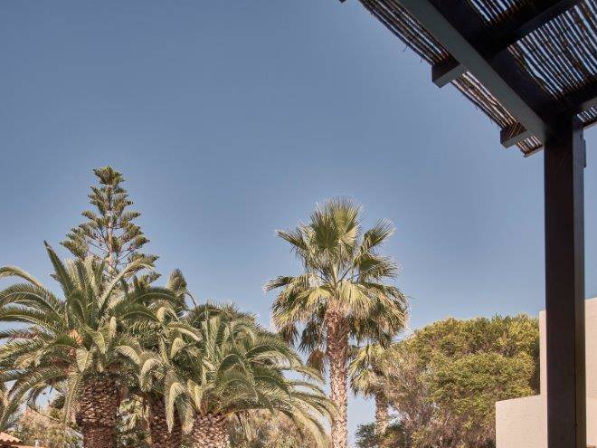 Cretan malia park resort
