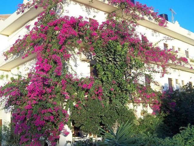 Knossos hotel