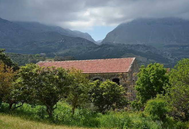 Viglatoras