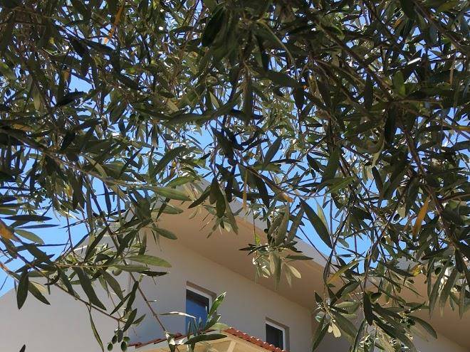 Theodosia Studios Image