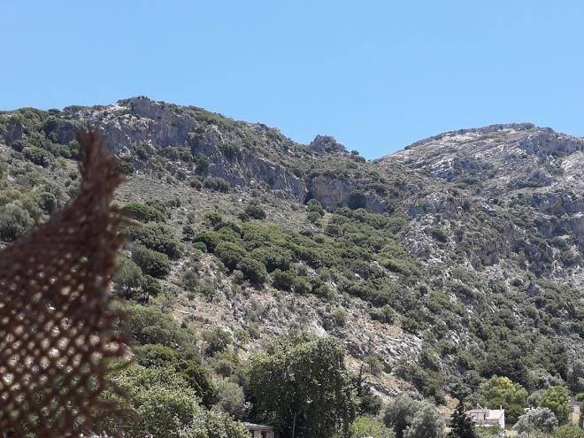 Costas inn spili