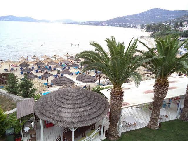 Porto palio