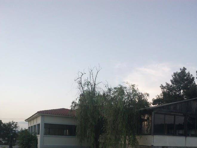 Dendraki