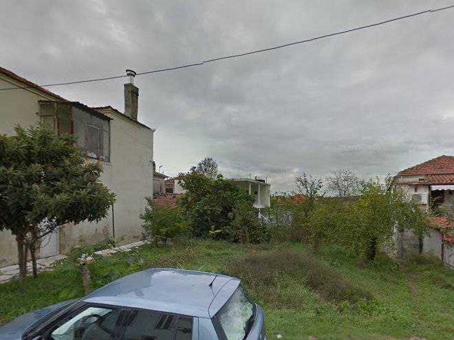 Papaioannou Helen Image