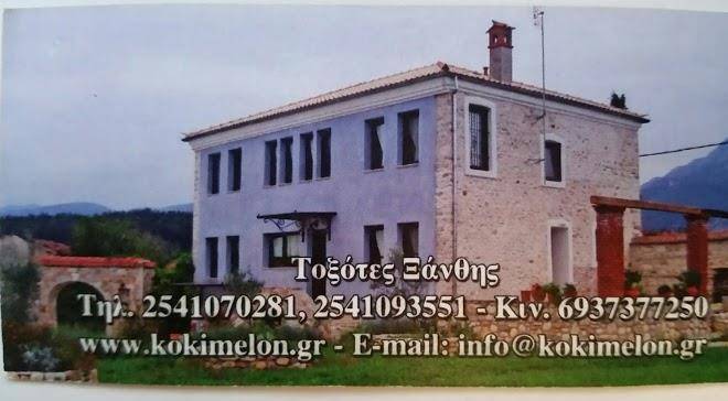 Kokkimelon