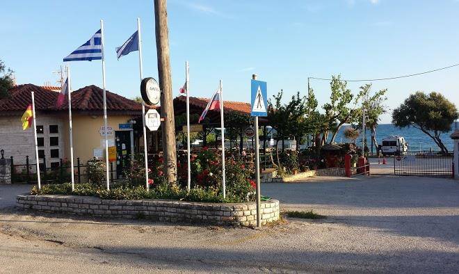 Acrogiali