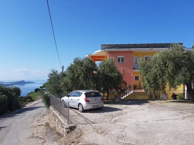 Olive tree parga