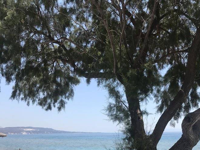Kefalonia beach hotel & bungalows
