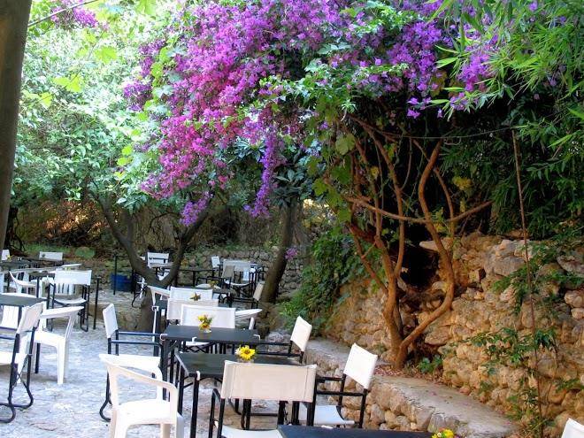 Pension trifilli