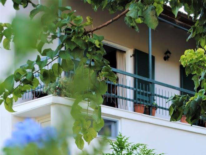 Dassia luxury apt surrounded by olive groves